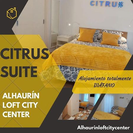 Citrus Suite By Alhaurin Loft City Center 阿尔豪林德拉托里 外观 照片