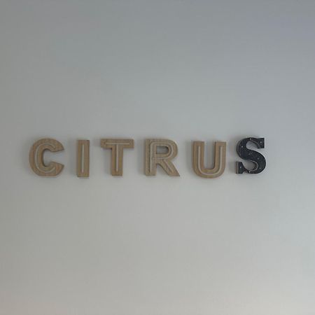 Citrus Suite By Alhaurin Loft City Center 阿尔豪林德拉托里 外观 照片