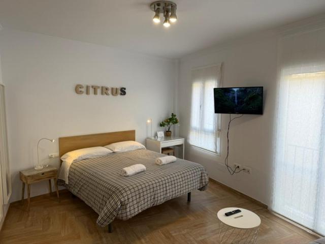 Citrus Suite By Alhaurin Loft City Center 阿尔豪林德拉托里 外观 照片